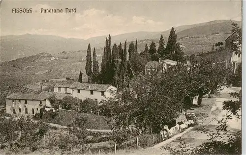 AK / Ansichtskarte  Fiesole_Toscana_IT Panorama Nord