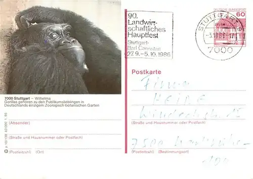 AK / Ansichtskarte 73934039 Zoo_Gardin_Zoologique-- Stuttdart Wilheima Gorilla