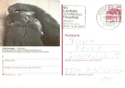 AK / Ansichtskarte  Zoo_Gardin_Zoologique-- Stuttdart Wilheima Gorilla