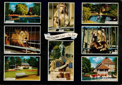 AK / Ansichtskarte  Zoo_Gardin_Zoologique-- Muenster Westfallen Affe Loewe Baer 