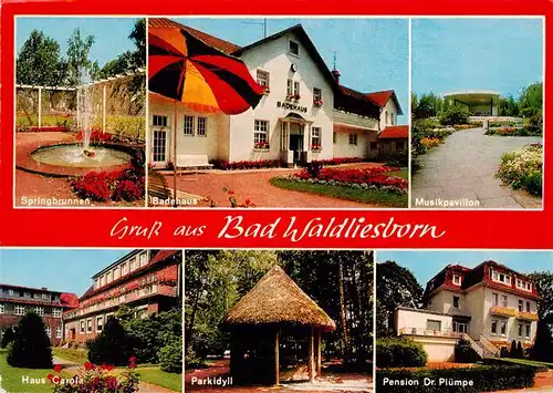 AK / Ansichtskarte 73934054 Bad_Waldliesborn Springbrunnen Badehaus Musikpavillon Haus Carola Parkidyll Pension Dr Pluempe