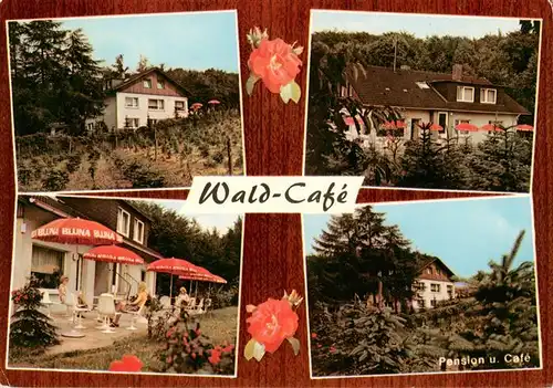 AK / Ansichtskarte  Bad_Lippspringe Wald Cafe Terrasse Pension