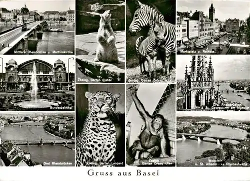 AK / Ansichtskarte 73934220 Zoo_Gardin_Zoologique-- Basel Zebra Eisbaer Leopard Rheinbruecke Rathaus