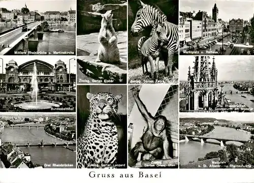 AK / Ansichtskarte  Zoo_Gardin_Zoologique-- Basel Zebra Eisbaer Leopard Rheinbruecke Rathaus