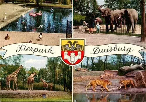 AK / Ansichtskarte  Zoo_Gardin_Zoologique-- Duisburg Giraffen Elefanten Tieger 