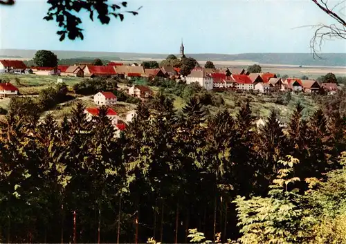 AK / Ansichtskarte  Wuennenberg Blick vom Hassel