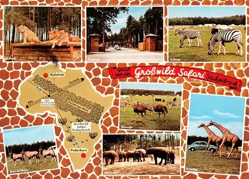 AK / Ansichtskarte 73934321 Stukenbrock_Schloss_Holte-Stukenbrock Grosswild Safari mit Loewengruppe Zebras Strause Antilopen Elefanten Giraffen Eingang