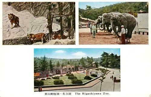 AK / Ansichtskarte 73934372 Higashiyama_Japan Zoo