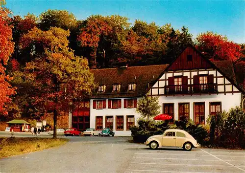 AK / Ansichtskarte  Warstein Waldhotel Tropfsteinhoehle Wlldgehege