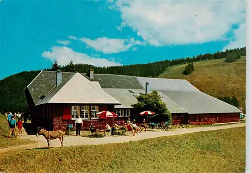 AK / Ansichtskarte  Untermuenstertal Almgaststaette Kaelbelescheuer