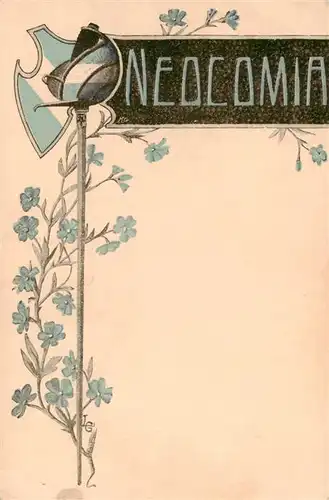 AK / Ansichtskarte  Neuchatel_NE Neocomia