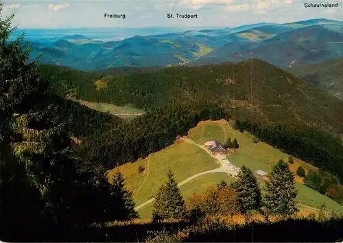 AK / Ansichtskarte 73934756 Untermuenstertal Almgaststaette Kaelbelescheuer mit Schauinsland und Belchenblick