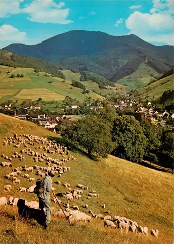 AK / Ansichtskarte  Muenstertal__Schwarzwald Panorama