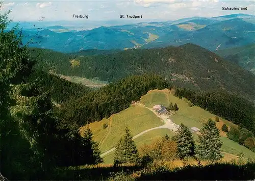 AK / Ansichtskarte  Untermuenstertal Almgaststaette Kaelbelescheuer mit Schauinsland und Belchenblick