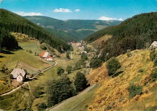 AK / Ansichtskarte  Nussbach_Ortenau Nussbachtal Panorama