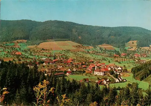 AK / Ansichtskarte  Hofstetten_Kinzigtal Gasthof Pension Drei Schneeballen Panorama