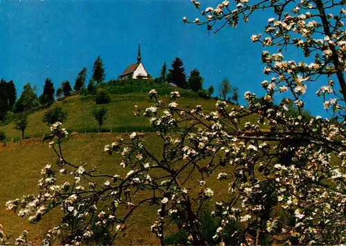 AK / Ansichtskarte  Mambach_Zell_im_Wiesental Wallfahrtskapelle Maria Frieden