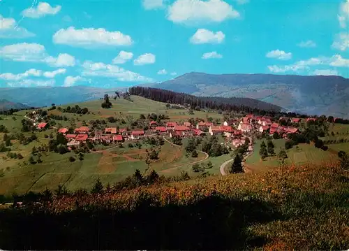 AK / Ansichtskarte  Ehrsberg_Haeg-Ehrsberg Panorama