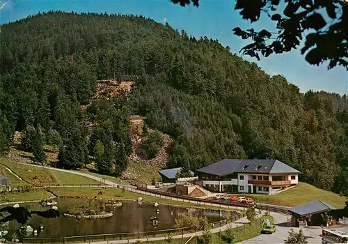 AK / Ansichtskarte  Todtnau Berg Wild Park Steinwasen