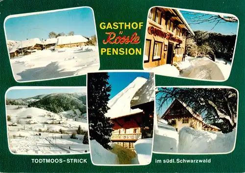 AK / Ansichtskarte  Strick-Todtmoos Gasthof Roessle Pension Winterpanorama