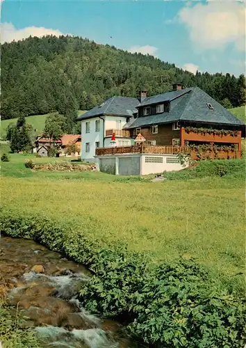 AK / Ansichtskarte  Hintertodtmoos Haus Wiesengrund