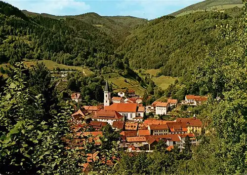 AK / Ansichtskarte  Zell_Wiesental Panorama