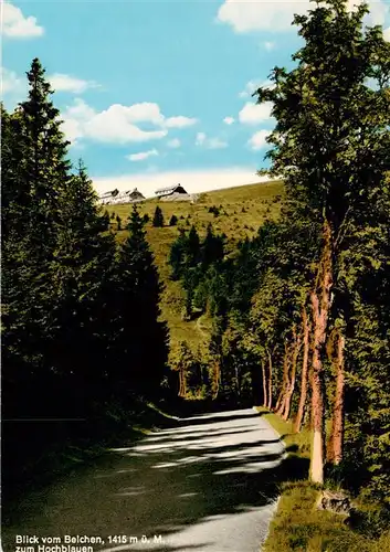 AK / Ansichtskarte  Belchen_Baden Blick vom Belchen zum Hochblauen