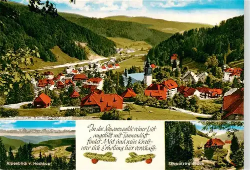 AK / Ansichtskarte 73935176 Todtmoos Panorama Alpenblick vom Hochkopf Schwarzwaldhaus