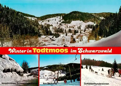 AK / Ansichtskarte 73935179 Todtmoos Panorama Verschneites Schwarzwaldhaus Am Skihang Schlittenhunderennen