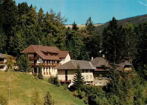 AK / Ansichtskarte  Todtnauberg Hotel Herrihof