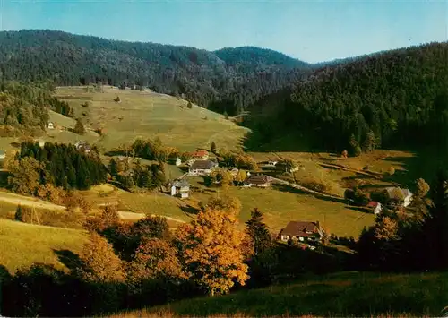 AK / Ansichtskarte  Ruette_Todtmoos Panorama