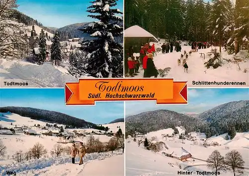 AK / Ansichtskarte 73935195 Todtmoos Panorama Schlittenhunderennen Winterspaziergang Hinter Todtmoos