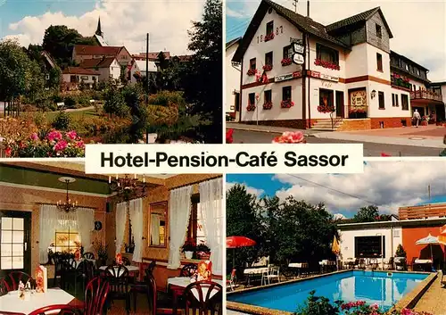 AK / Ansichtskarte  Dodenau_Battenberg_Eder Hotel Pension Cafe Sassor Gaststube Schwimmbad