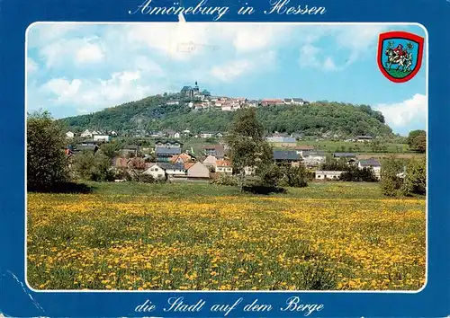 AK / Ansichtskarte 73935266 Amoeneburg Panorama mit Schloss und Kirche