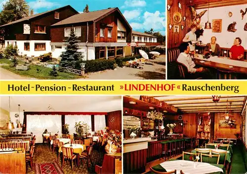 AK / Ansichtskarte 73935298 Rauschenberg_Hessen Hotel Pension Restaurant Lindenhof Gastraeume Bar
