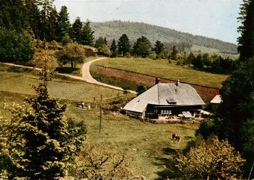 AK / Ansichtskarte  Triberg Jugendherberge