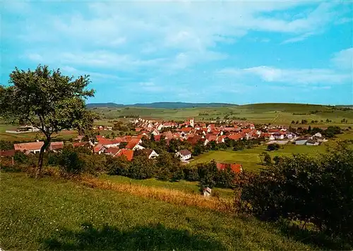 AK / Ansichtskarte  Riedboehringen Panorama