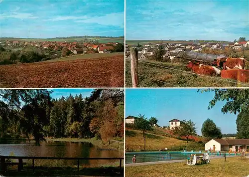 AK / Ansichtskarte 73935447 Freienhagen_Waldeck Panorama Jeppenteich Schwimmbad Viehweide Kuehe