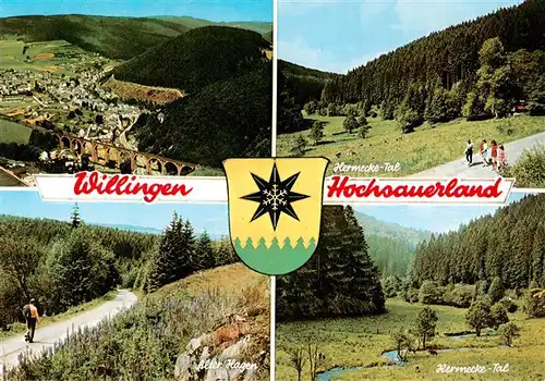 AK / Ansichtskarte  Willingen_Sauerland Landschaftspanorama Viadukt Wandern