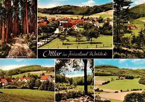 AK / Ansichtskarte  Ottlar_Willingen_Waldeck Panorama Waldwanderweg Muehle Landschaft