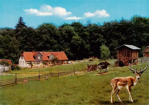 AK / Ansichtskarte  Muenden_Werra Waldgaststaette Rinderstall Wildgehege Waldmuseum