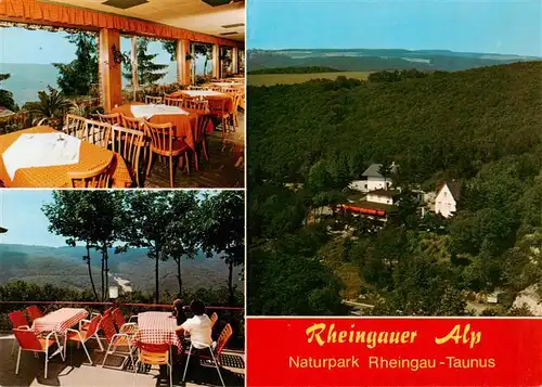 AK / Ansichtskarte  Presberg_Rheingau_Ruedesheim Gaststaette Rheingauer Alp Gaststube Terrasse