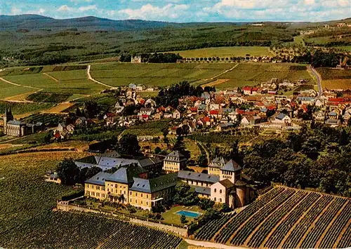 AK / Ansichtskarte  Johannisberg_Rheingau Weingut Schloss Johannisberg Fuerst von Metternich Winneburg