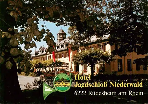 AK / Ansichtskarte  Ruedesheim_am_Rhein Hotel Jagdschloss Niederwald