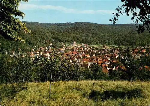 AK / Ansichtskarte  Lorsbach Panorama