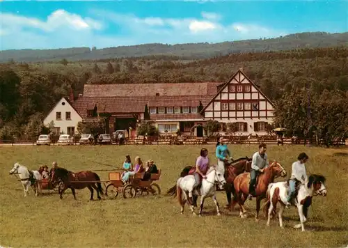 AK / Ansichtskarte  Ruedesheim_am_Rhein Waldgasthof Ebental Ponyhof Fahr und Reitgelegenheit