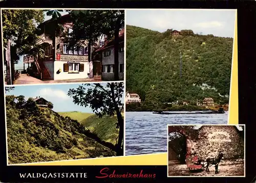 AK / Ansichtskarte  Assmannshausen_Rhein Waldgaststaette Schweizerhaus Panorama Schlitten