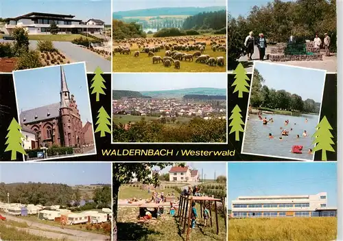 AK / Ansichtskarte 73936065 Waldernbach Halle Kirche Camping Schafherde Panorama Spielplatz Seepartie Hotel