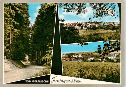 AK / Ansichtskarte  Fussingen_Waldbrunn_Westerwald Waldweg Panorama