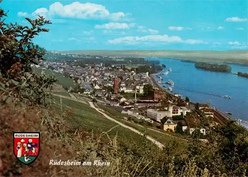 AK / Ansichtskarte  Ruedesheim_am_Rhein Panorama